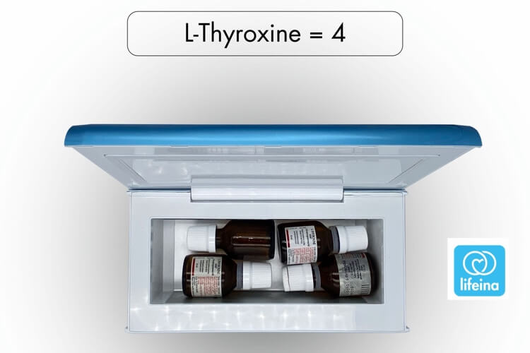Transporting L-Thyroxine